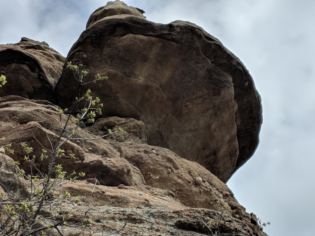 Mitchell Creek Canyon Trail | Mitchell Creek Canyon Trail, Castle Rock, CO 80104