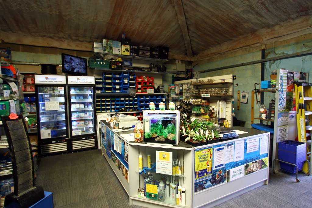 Amwell Aquatics Ltd | High Elms/High Rd, Thornwood, Epping CM16 6LX, UK | Phone: 01992 570880