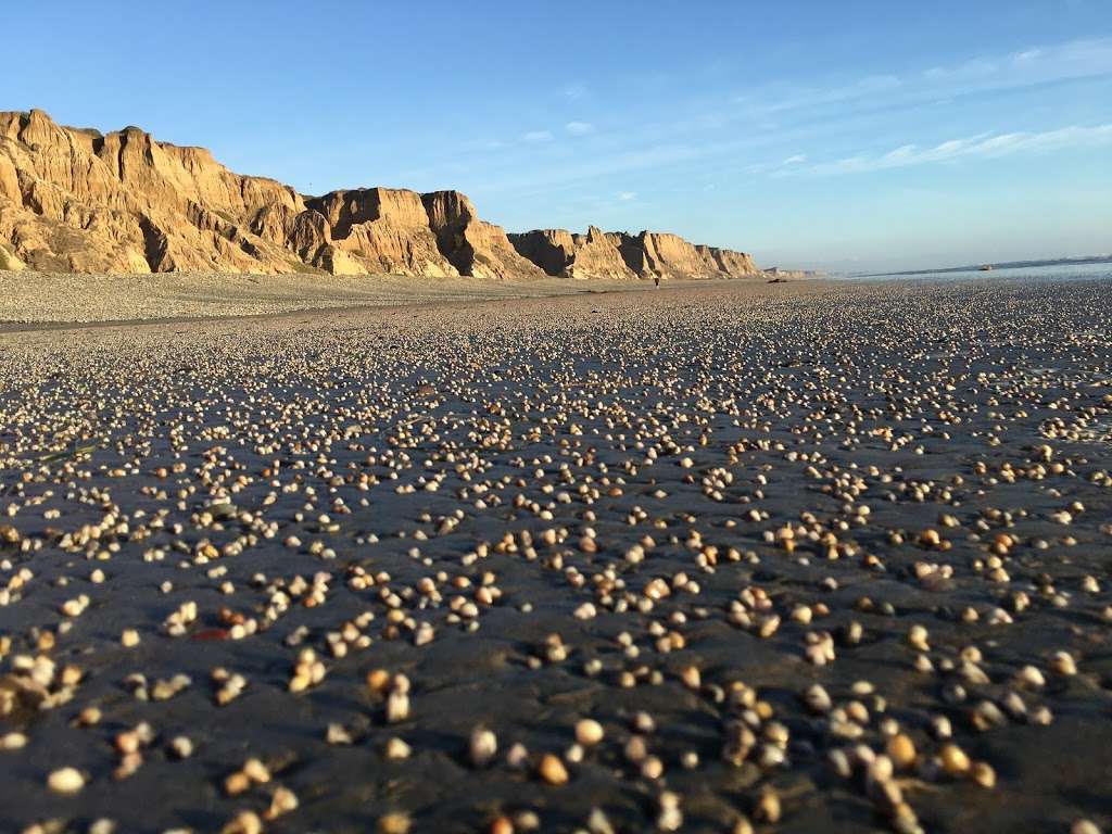 San Onofre State Beach | California, USA