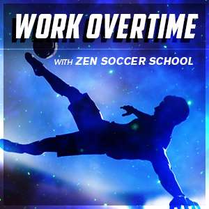 Zen Soccer School | 113 Tuttle Ave, Clarendon Hills, IL 60514