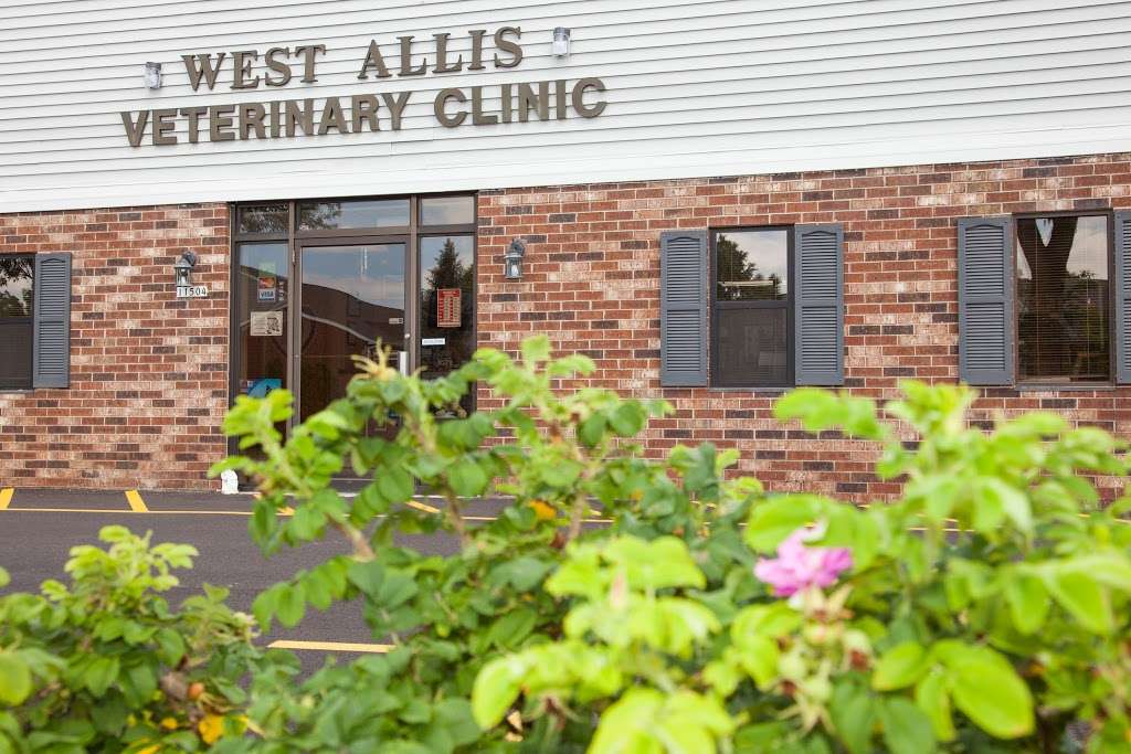 West Allis Veterinary Clinic | 11504 W Greenfield Ave, West Allis, WI 53214, USA | Phone: (414) 453-4344