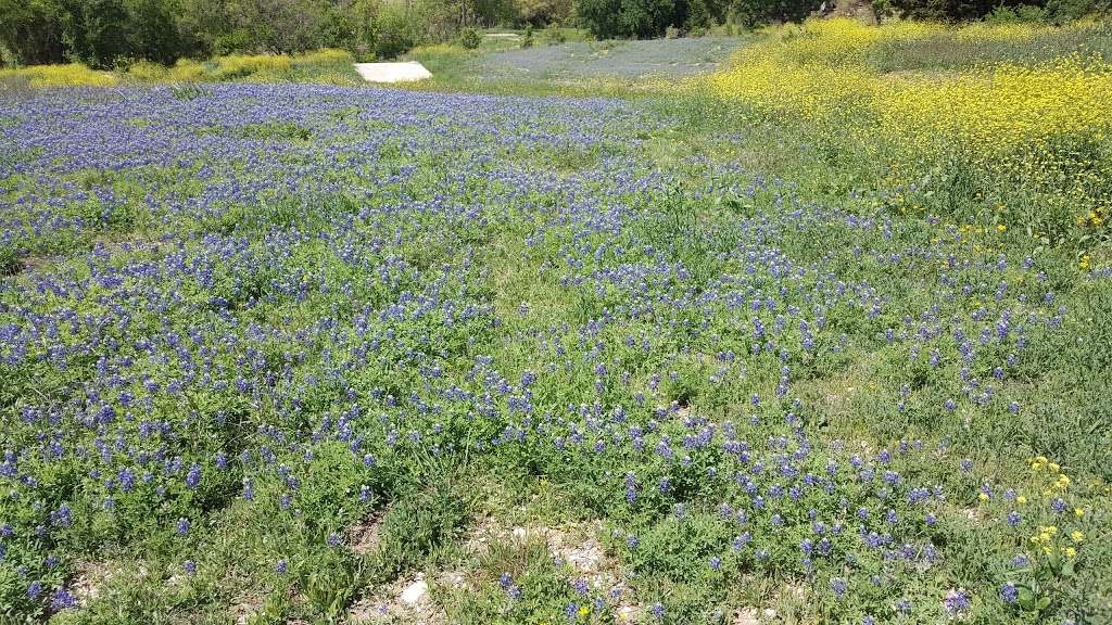 Menoo Woods | Unnamed Road, Schertz, TX 78154, USA