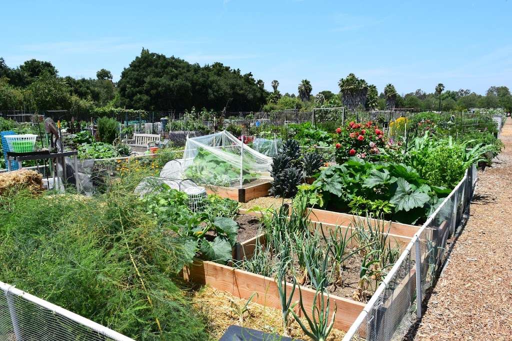 Long Beach Community Garden | Long Beach, CA 90815, USA