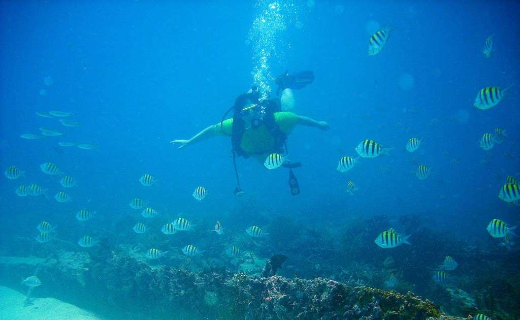 Private Scuba & Snorkel | 3500 Springdale Blvd, Palm Springs, FL 33461 | Phone: (954) 547-4818