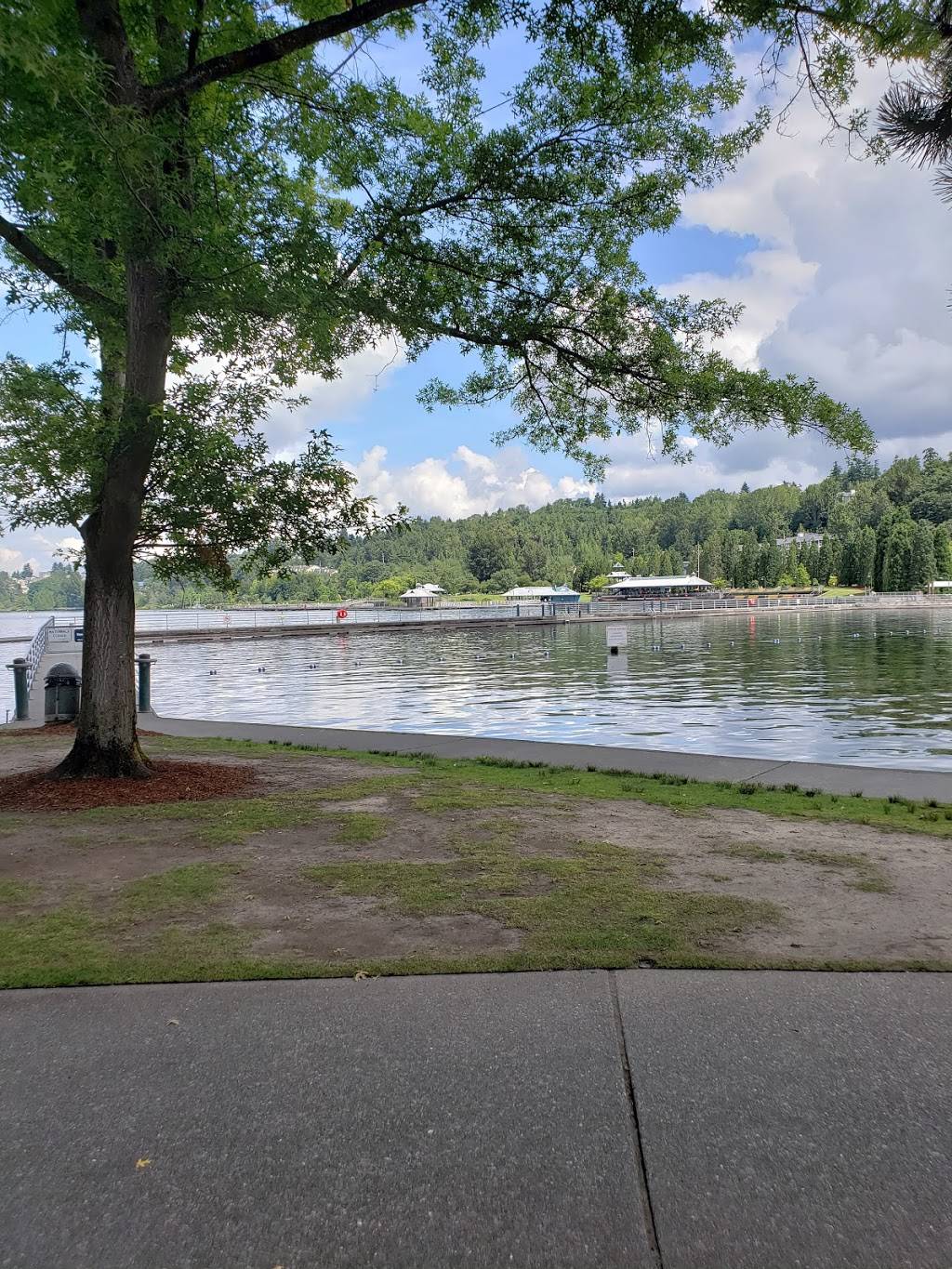 Gene Coulon Memorial Beach Park Volleyball Courts | 1267-1323 Coulon Beach Acrd, Renton, WA 98057, USA | Phone: (425) 430-6400