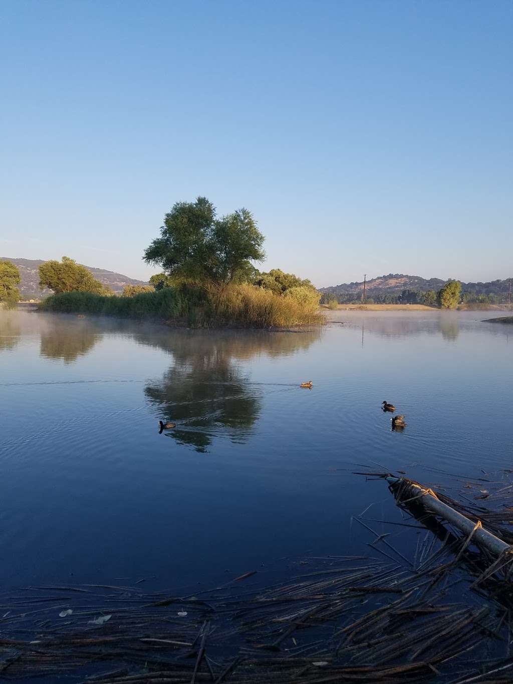 Cub Lake | 32420002, Bear Valley Springs, CA 93561, USA