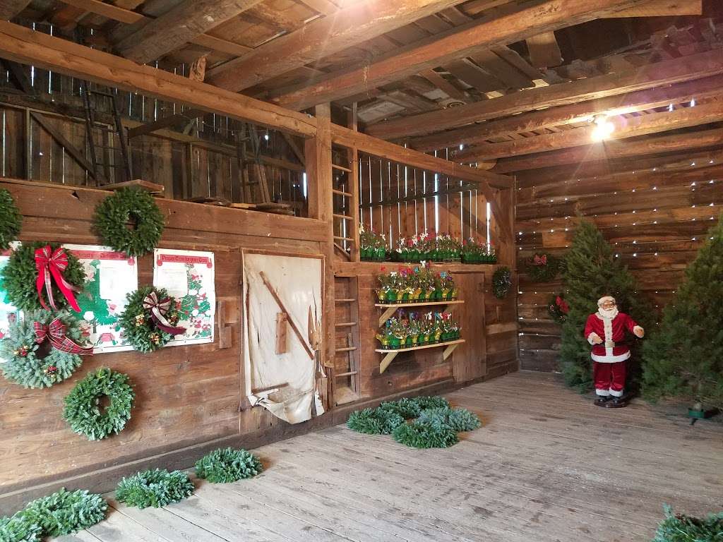 Helen & Eds Tree Farm | 3758 St Marys Rd, Wapwallopen, PA 18660 | Phone: (570) 868-6252