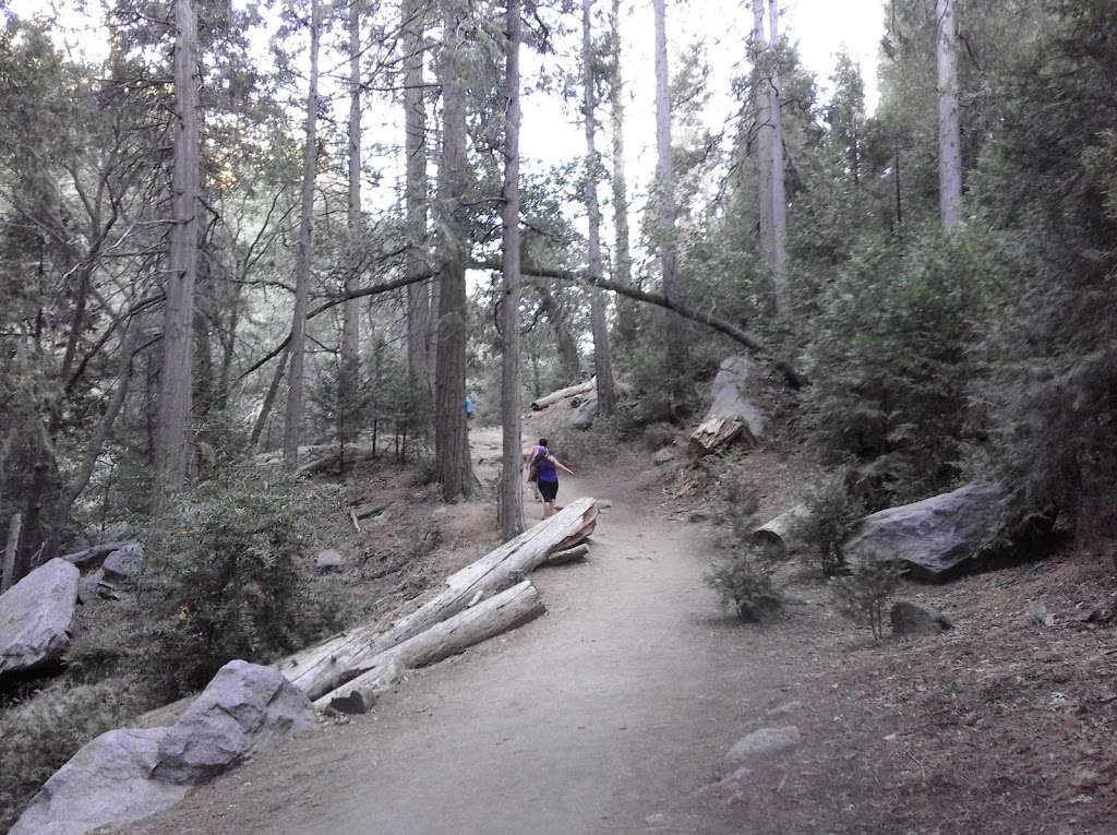 Start Of Hiking Trail | 034303104, Crestline, CA 92325, USA