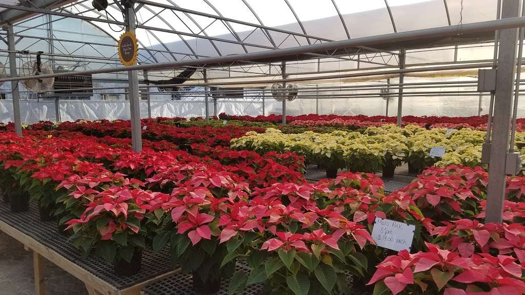 Colonial Farm Nursery | 9008 Tuscarora Pike, Martinsburg, WV 25403, USA | Phone: (304) 263-5232