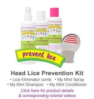 Southern California Head Lice Treatment | 614 1/2 S Avenue 60, Los Angeles, CA 90042, USA | Phone: (310) 874-4550