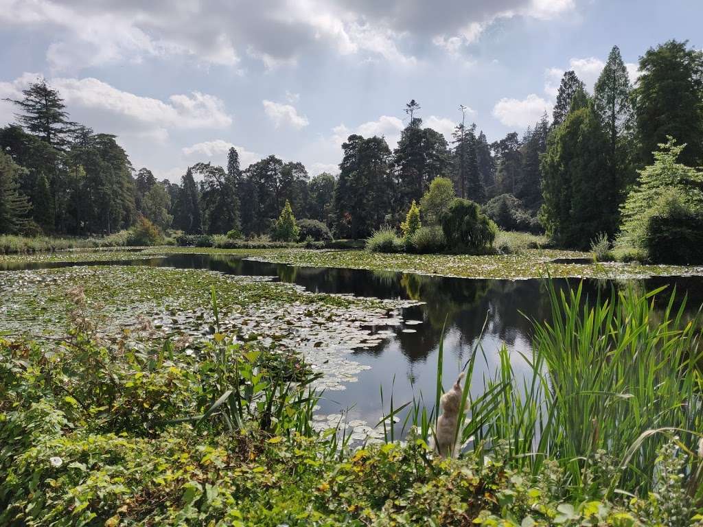 Bedgebury Pinetum Main | Park Ln, Goudhurst, Cranbrook TN17 2SL, UK