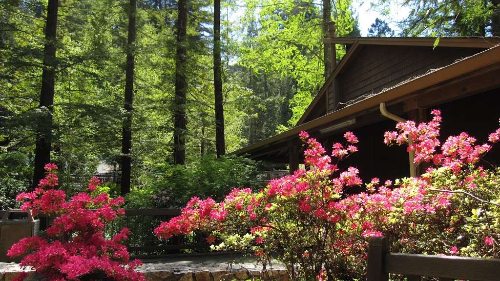 Mount Hermon Camp & Conference Center | 37 Conference Dr, Felton, CA 95018, USA | Phone: (831) 335-4466