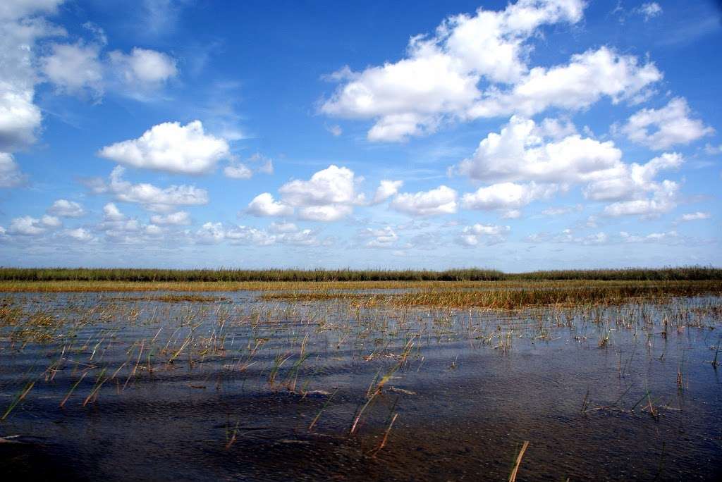Browns Farm Wildlife Management Area | Florida, USA | Phone: (561) 686-6800