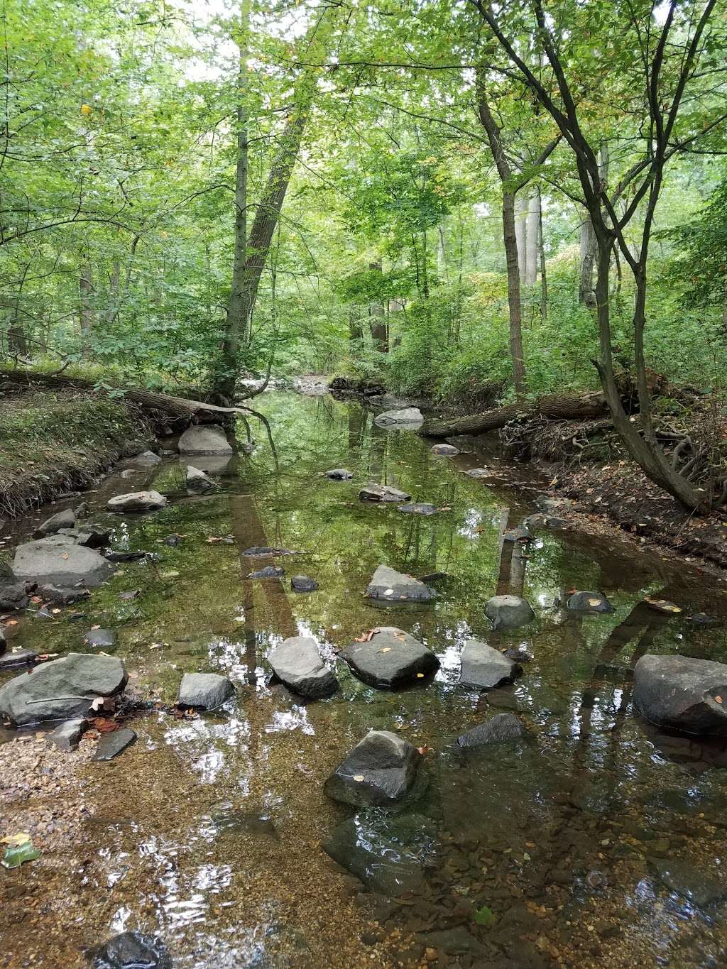 Brandywine Creek State Park - Flint Woods Nature Preserve | 41 Adams Dam Rd, Wilmington, DE 19807 | Phone: (302) 577-3534