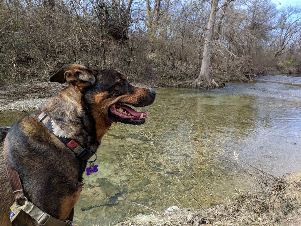 Onion Creek Metropolitan Park | 8652 Nuckols Crossing Rd, Austin, TX 78744, USA | Phone: (512) 974-2000