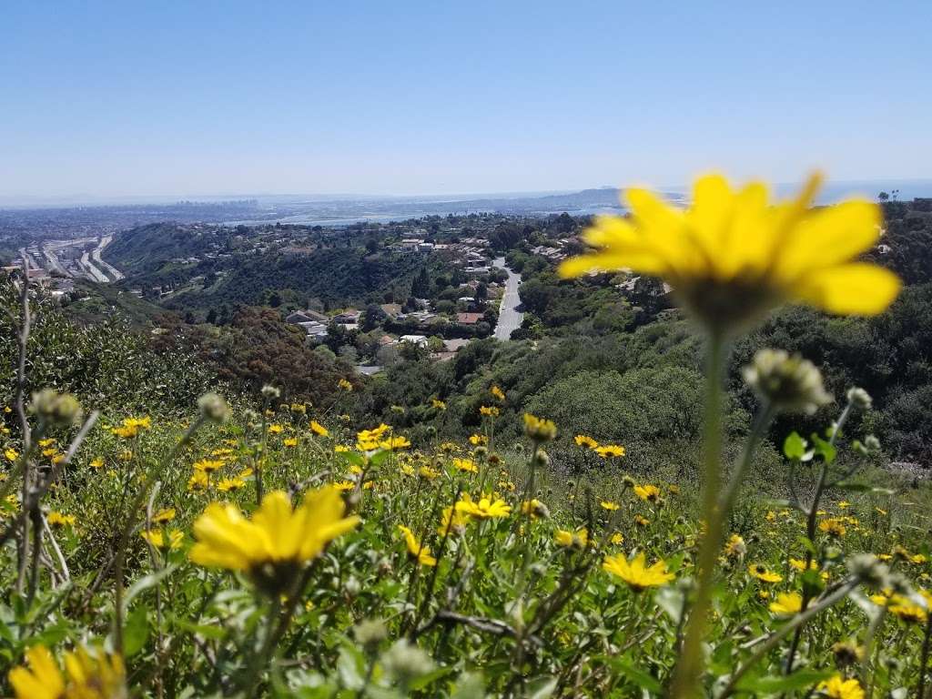 Mt. Soledad National Veterans Memorial | 6905 La Jolla Scenic Dr S, La Jolla, CA 92037, USA | Phone: (858) 459-2314