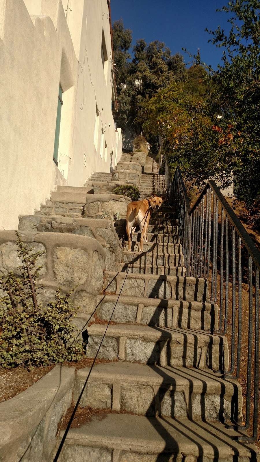 Saroyan Stairs | Saroyan stairs, Los Angeles, CA 90068, USA