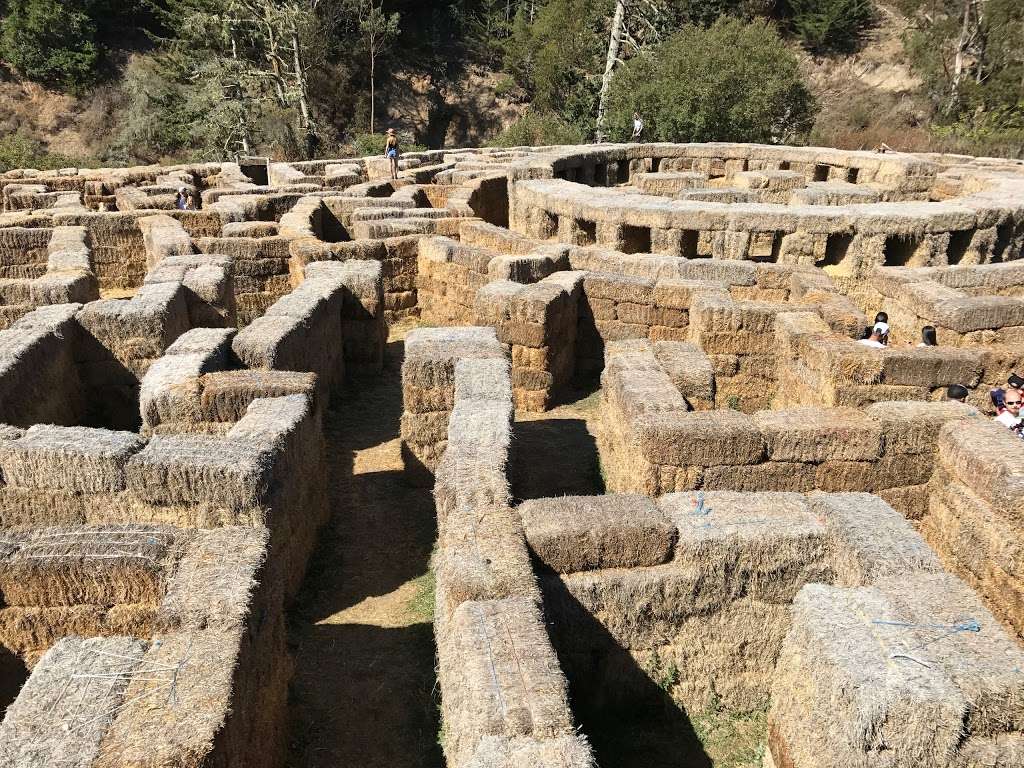 Aratas Pumpkin Farm | 185 Verde Rd, Half Moon Bay, CA 94019, USA | Phone: (650) 726-7548