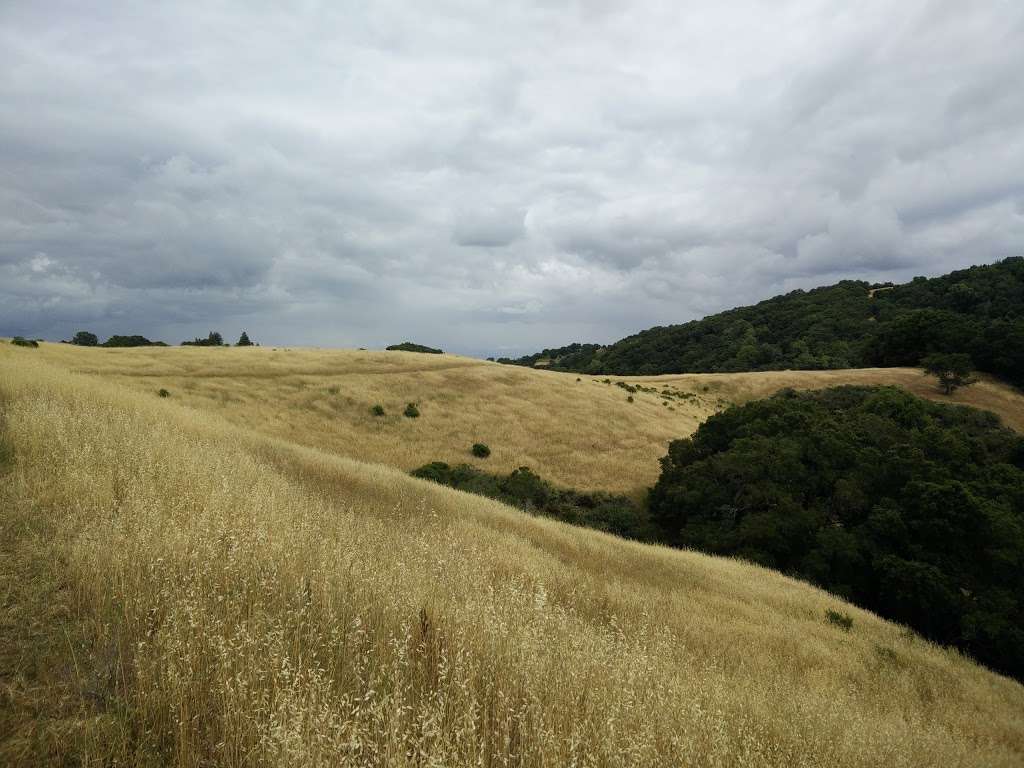 Foothills Park entrance | 11799 Page Mill Rd, Los Altos Hills, CA 94022, USA | Phone: (650) 329-2423