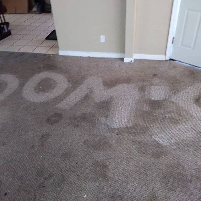 Doms Carpet Cleaning | 6653 Powers Ave, Jacksonville, FL 32217, USA | Phone: (904) 730-2111