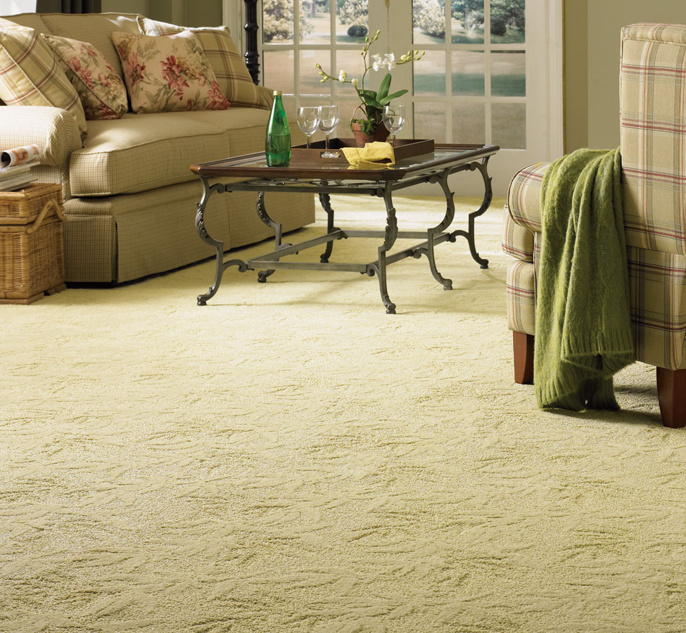 Bay Point Carpet Cleaning | 44 Water St, Bay Point, CA 94565 | Phone: (925) 709-1882