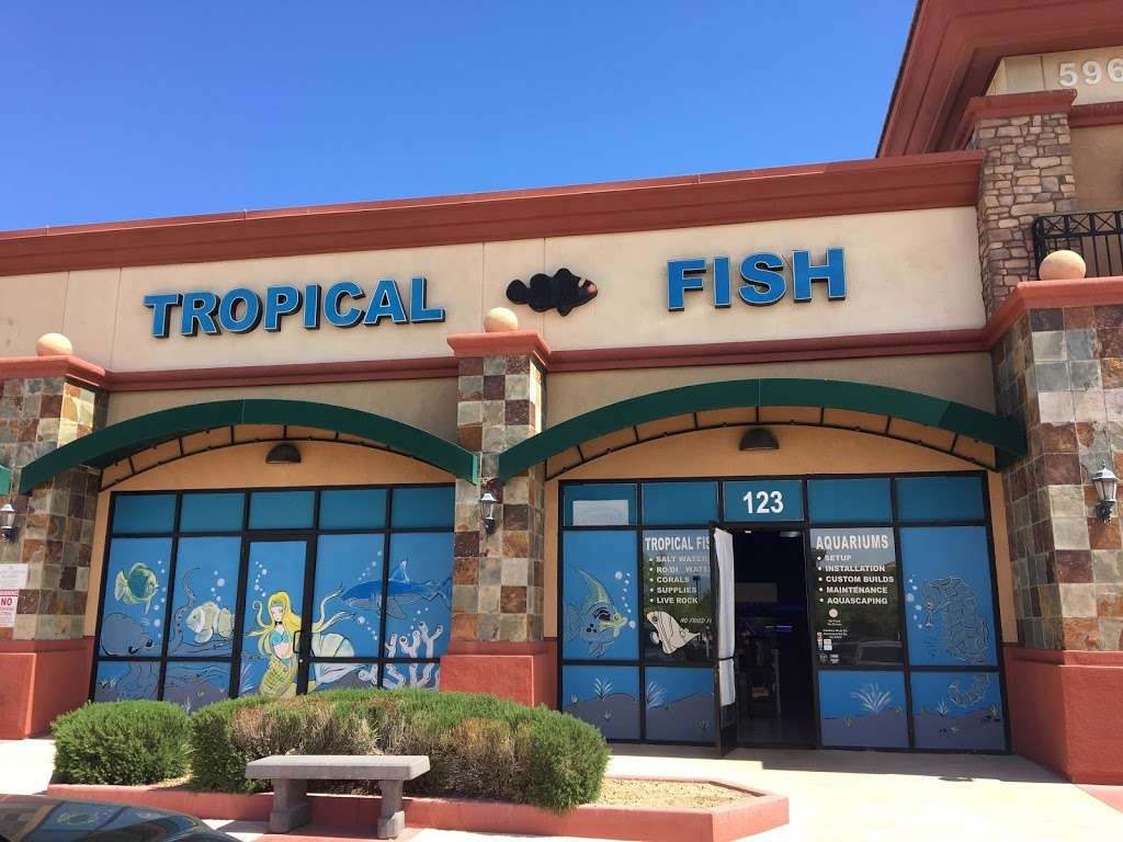 Blue Reef Aquatics | 5960 Losee Rd, North Las Vegas, NV 89081, USA | Phone: (702) 252-7333