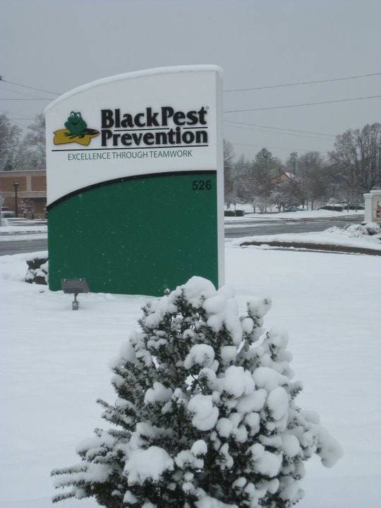 Black Pest Prevention, Inc. | 526 W John St, Matthews, NC 28105, USA | Phone: (704) 522-9222