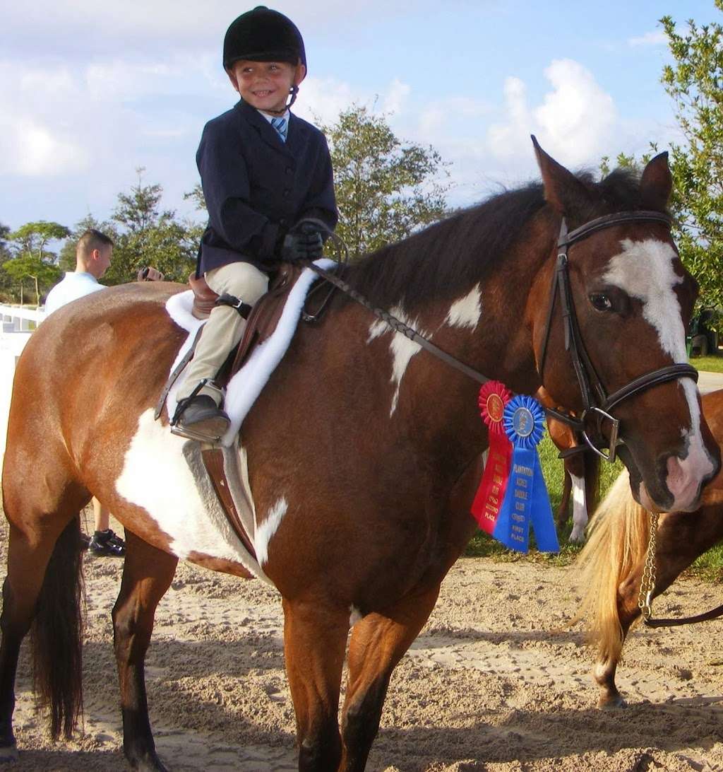 Acts2Acres Equestrian Center | 4000 NW 43rd St, Coconut Creek, FL 33073, USA | Phone: (954) 326-2528
