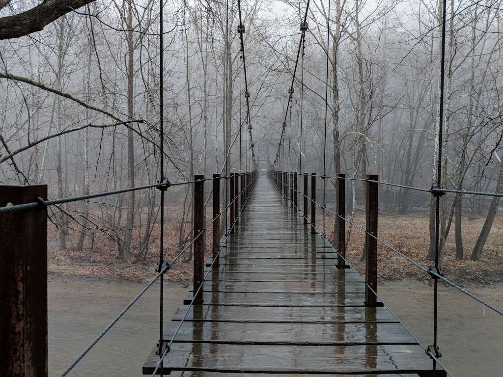 Swinging Bridge at Patapsco Valley State Park | River Rd, Elkridge, MD 21075, USA | Phone: (410) 461-5005