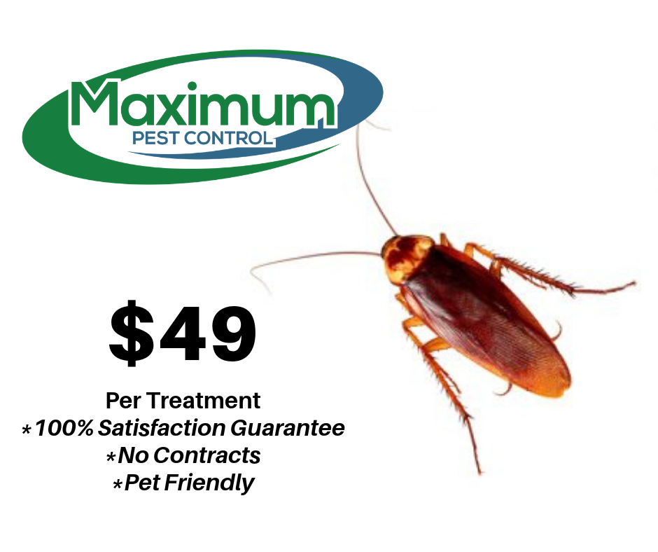 Maximum Pest Control | 3116 E Enid Ave, Mesa, AZ 85204, USA | Phone: (480) 433-6091