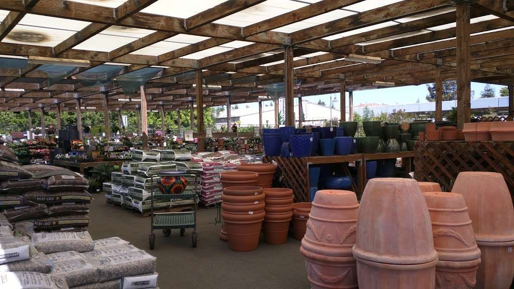 Sloat Garden Center | 2895 Contra Costa Blvd, Pleasant Hill, CA 94523, USA | Phone: (925) 939-9000