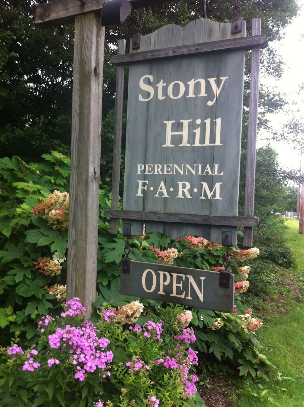 Stony Hill Perennial Farm | 173 Stony Hill Rd, Yardley, PA 19067, USA | Phone: (215) 295-8479