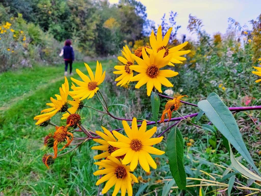 Shoe Factory Road Prairie Nature Preserve | Shoe Factory Rd, Hoffman Estates, IL 60192, USA | Phone: (800) 870-3666