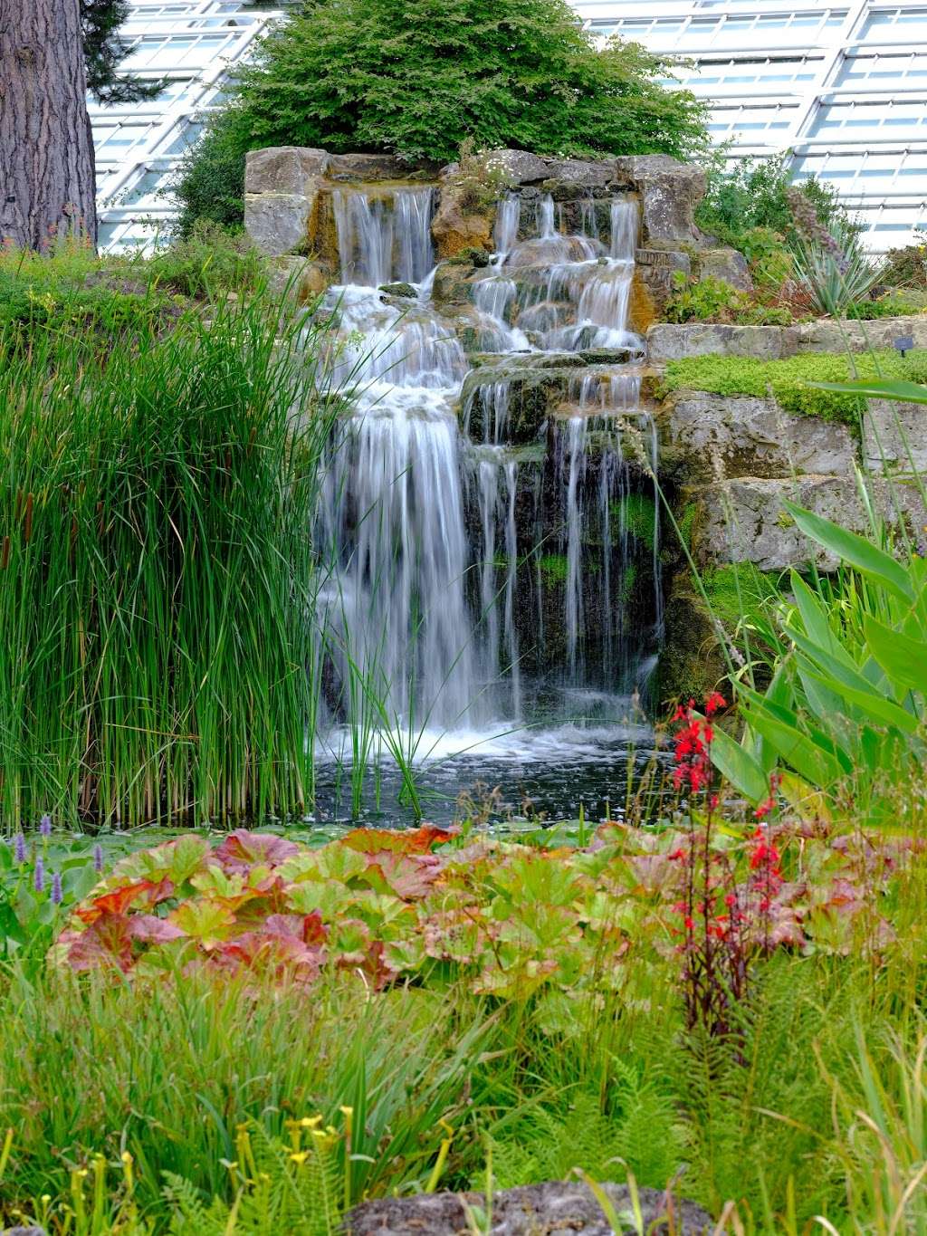 The Rock Garden | Kew Gardens, Richmond TW9 3DU, UK