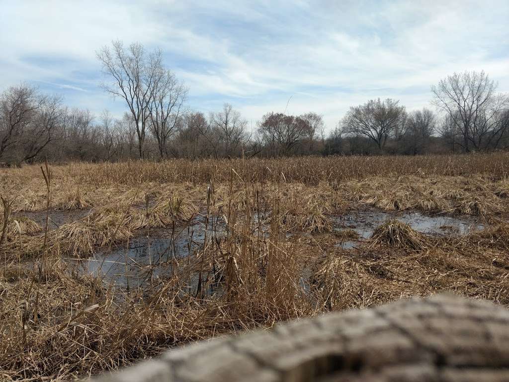 Thorn Creek Woods Nature Preserve | 247 Monee Rd, Park Forest, IL 60466, USA | Phone: (708) 747-6320