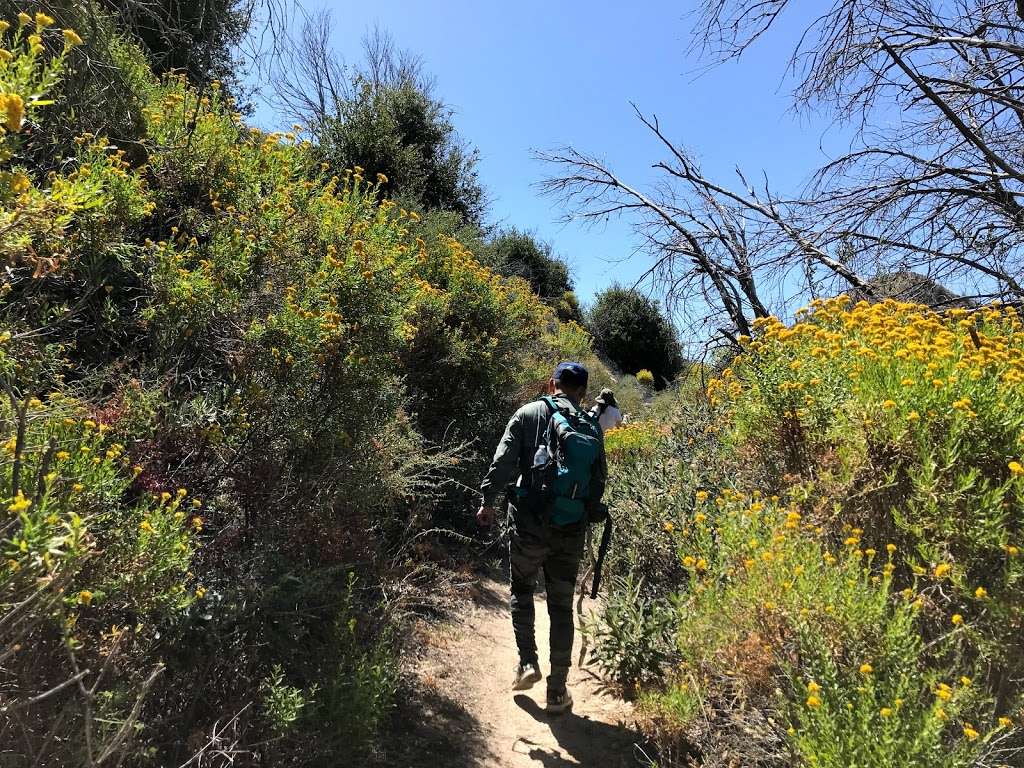 Strawberry saddle trail | Strawberry Saddle Trail, Palmdale, CA 93550