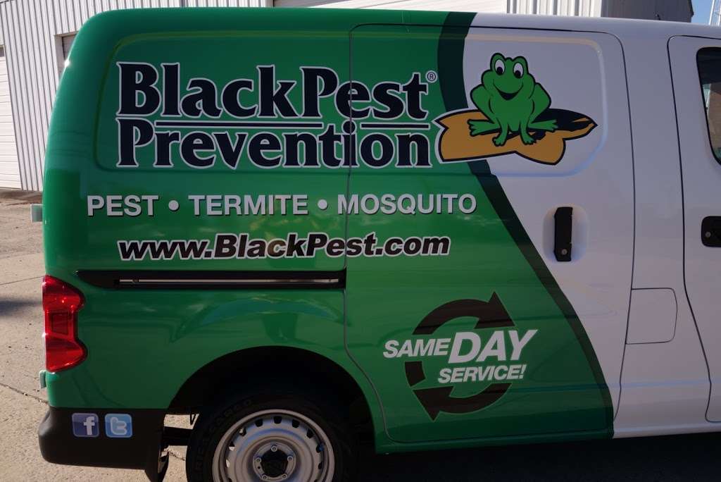 Black Pest Prevention, Inc. | 261 Williamson Rd, Mooresville, NC 28117, USA | Phone: (704) 522-9222