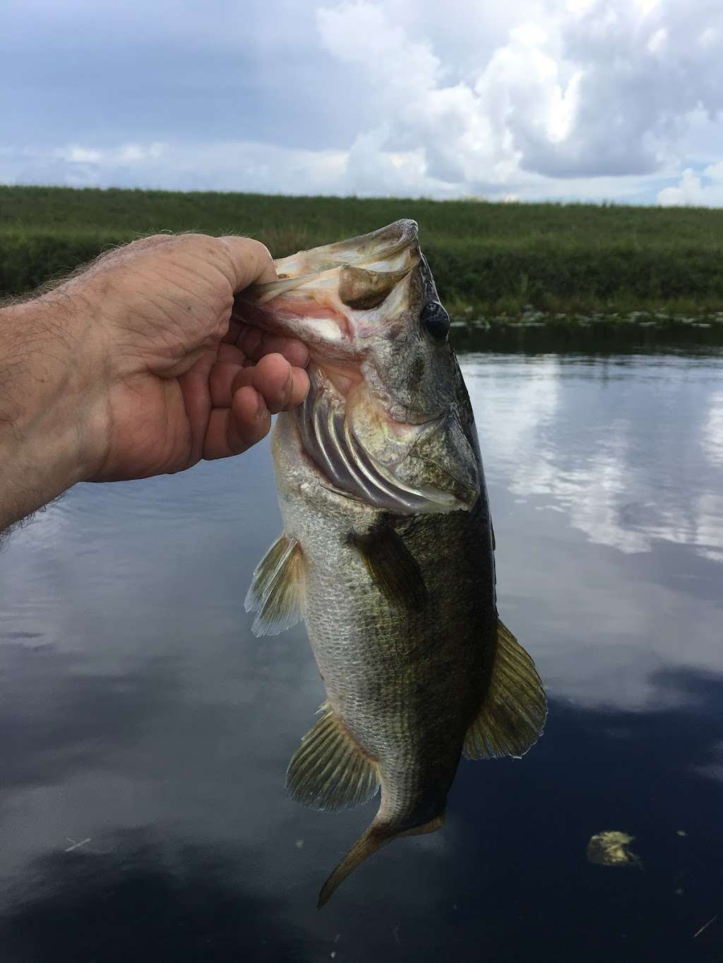 Holey Land Wildlife Management Area | Florida, USA