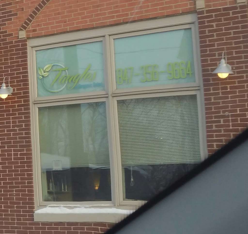 Tangles Salon | 113 Cedar Ave, Lake Villa, IL 60046, USA | Phone: (847) 356-9664