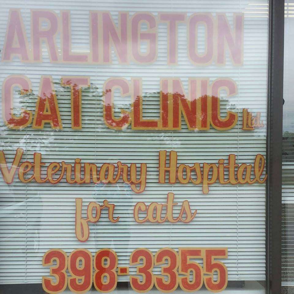 Arlington Cat Clinic | 841 N Wilke Rd, Arlington Heights, IL 60005 | Phone: (847) 398-3355