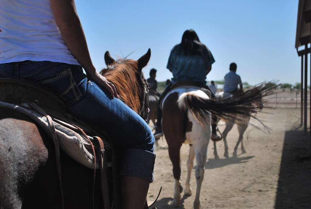 KOLI Equestrian Center | 6940 W BROKEN EAR RD, Chandler, AZ 85226, USA | Phone: (602) 796-3495