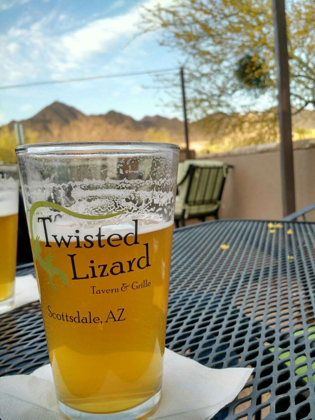 Twisted Lizard Tavern & Grille | 10401 E McDowell Mountain Ranch Rd #1, Scottsdale, AZ 85255, USA | Phone: (480) 538-0211