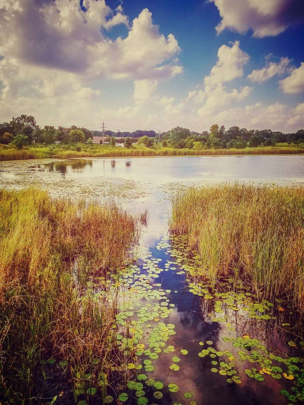 Hidden Lake Forest Preserve (Public Park Washroom Facility) | Lombard, IL 60148