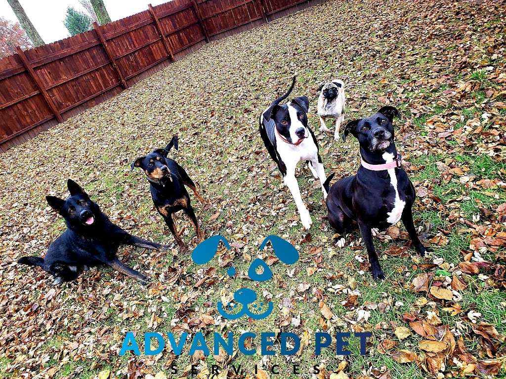 Advanced Pet Services | 23001 W Rd, Sheridan, IN 46069, USA | Phone: (317) 900-9769