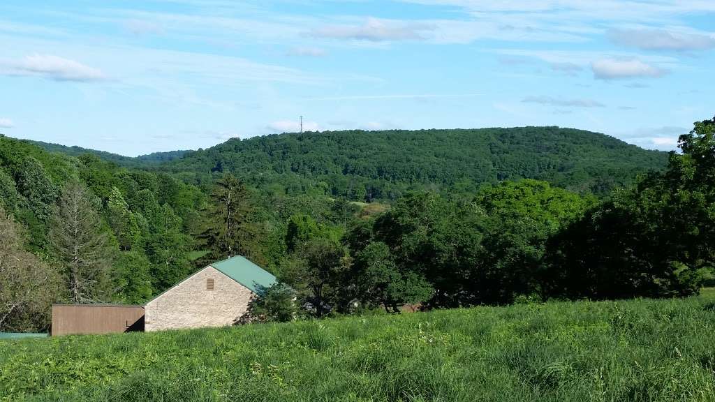 Natural Lands Binky Lee Preserve | 1445 Pikeland Rd, Chester Springs, PA 19425, USA | Phone: (610) 353-5587