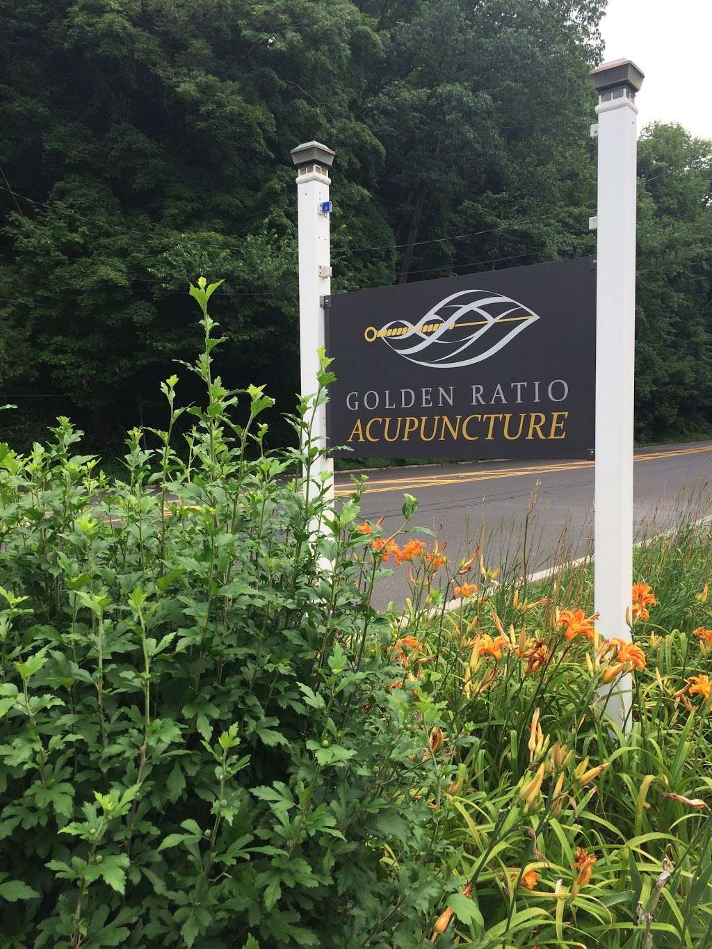 Golden Ratio Acupuncture | 351 S Main Street, First Floor, Lambertville, NJ 08530, USA | Phone: (503) 539-7646