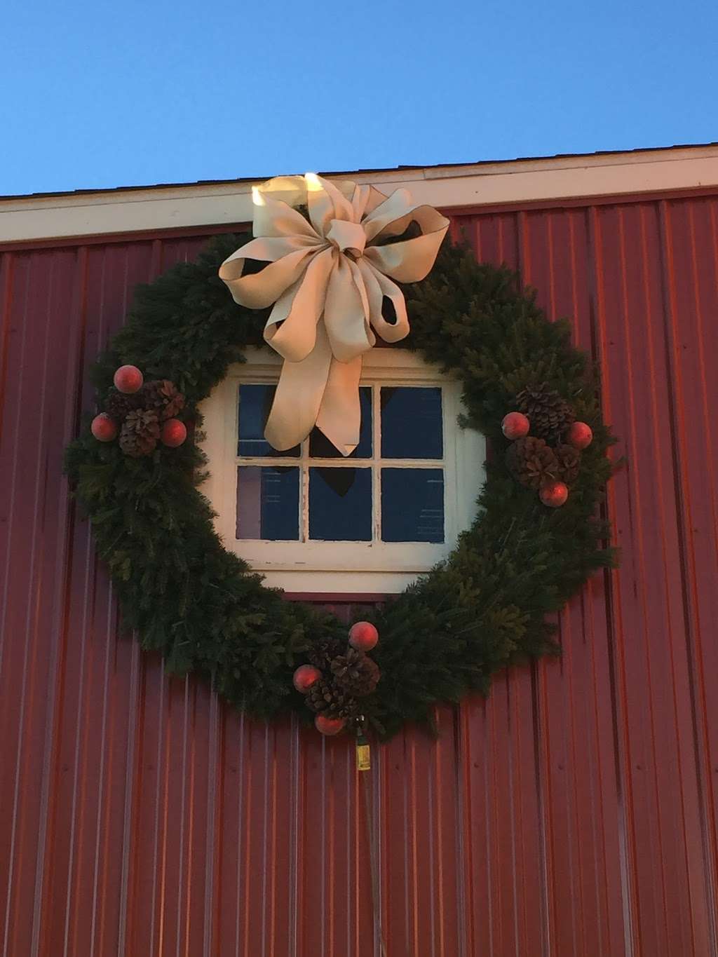 Sitko Christmas Tree Farm | 1141 Kepler Rd, Pottstown, PA 19464, USA | Phone: (610) 468-6647
