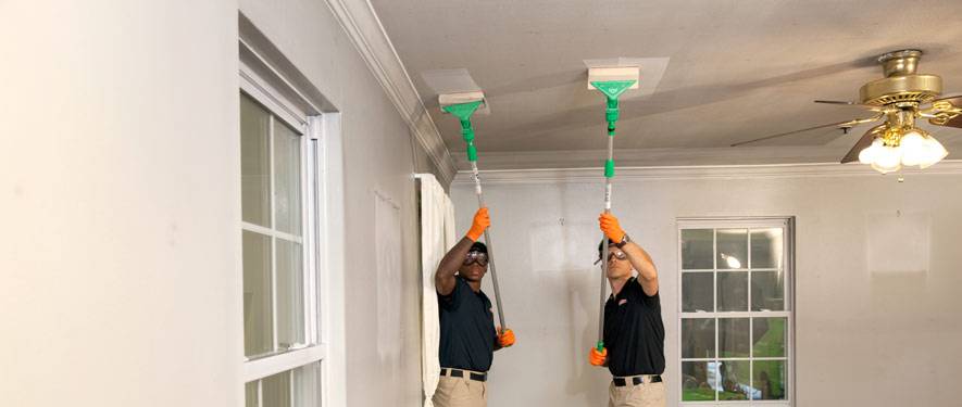 SERVPRO of North Irving | 8717 Governors Row, Dallas, TX 75247, United States Areas served | Phone: (972) 986-7677