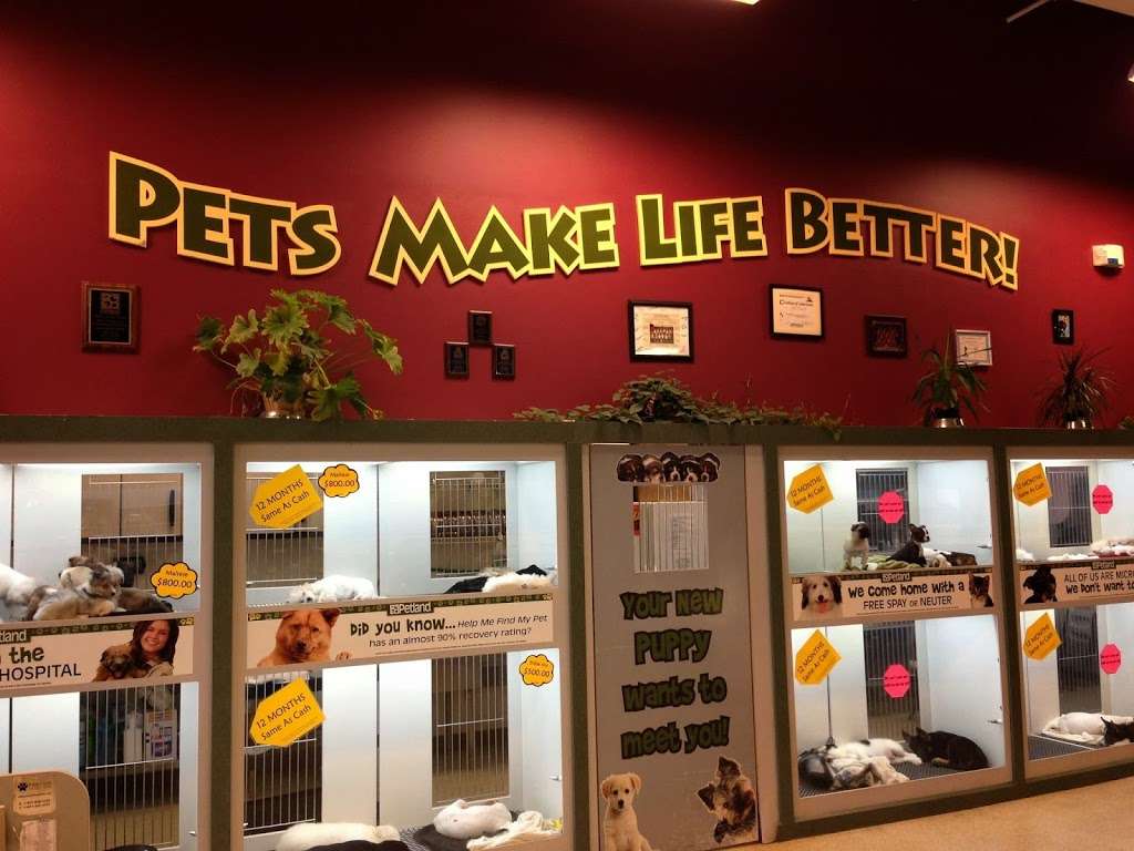 Petland Naperville | 720 IL-59 #112, Naperville, IL 60540 | Phone: (630) 357-3801