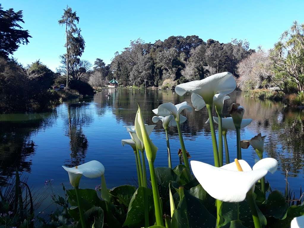 Stow Lake | John F Kennedy Dr & Martin Luther King Jr. Drive, San Francisco, CA 94118, USA | Phone: (415) 831-2700